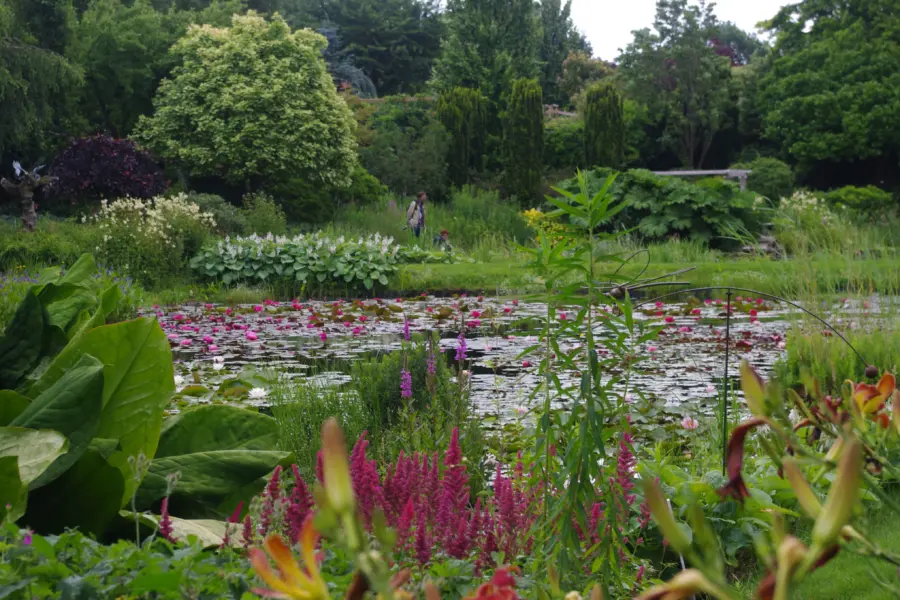 Uitje Overijssel - Vijvertuinen Ada Hofman_vijver