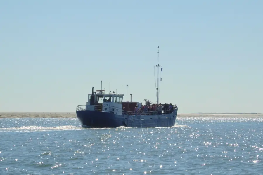 Zeehonden rondvaartboot uitje 3