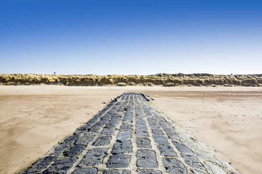 Zwin - Depositphoto2