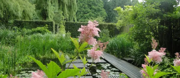 Tuinen Mien Ruys Moerastuin