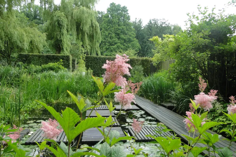 Tuinen mien ruys moerastuin