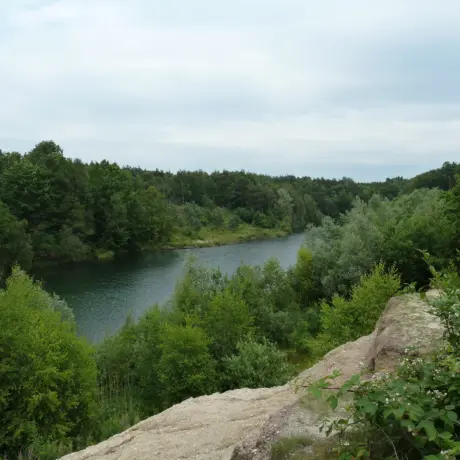 Venlo-Grafheuvels_Jammerdaalse_Heide_(4)