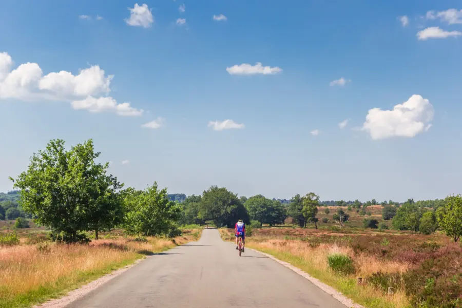 Sallandse heuvelrug per fiets