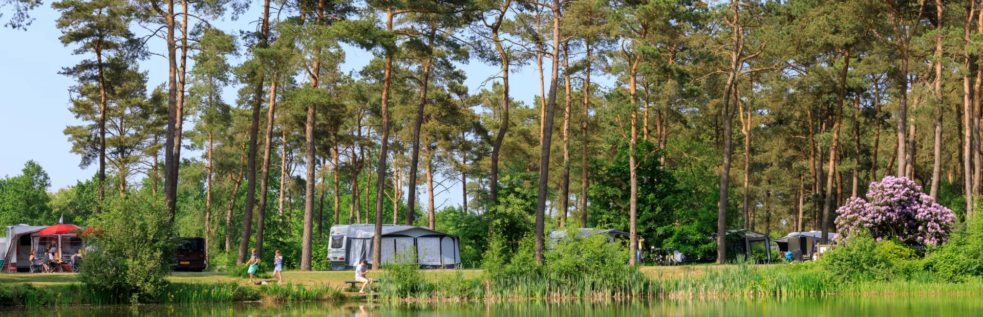 Meer bos kamperen