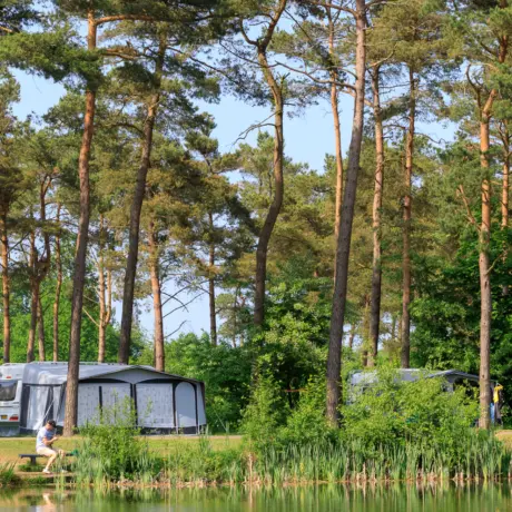 Meer bos kamperen