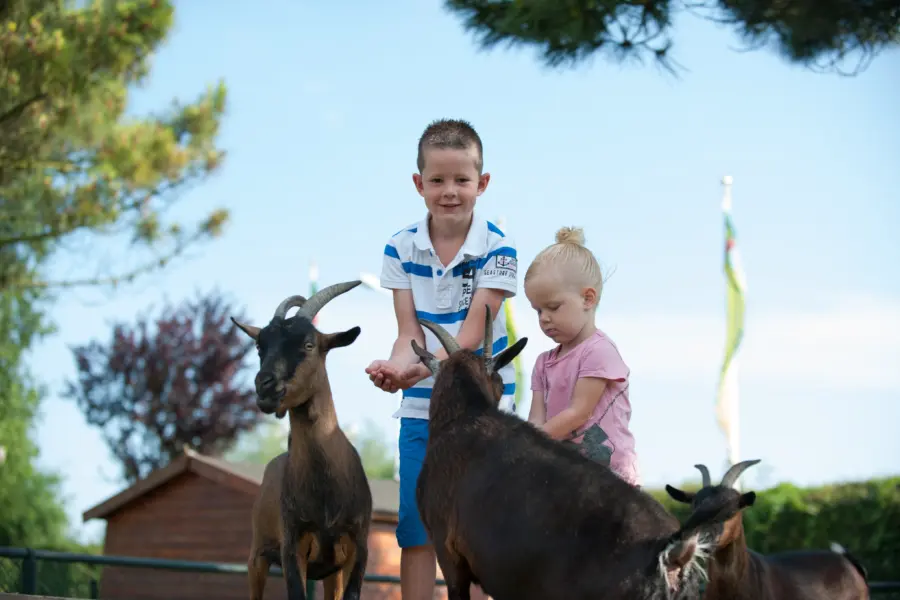 Kindvriendelijk International