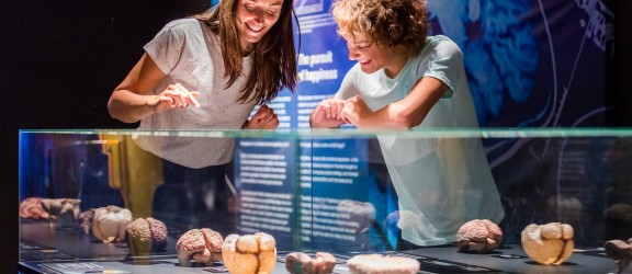 Body Worlds Amsterdam