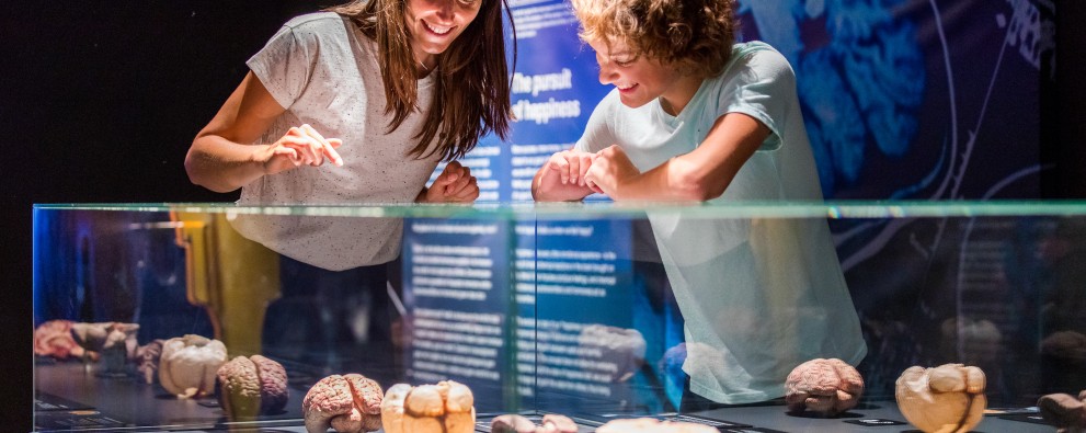 Body Worlds Amsterdam