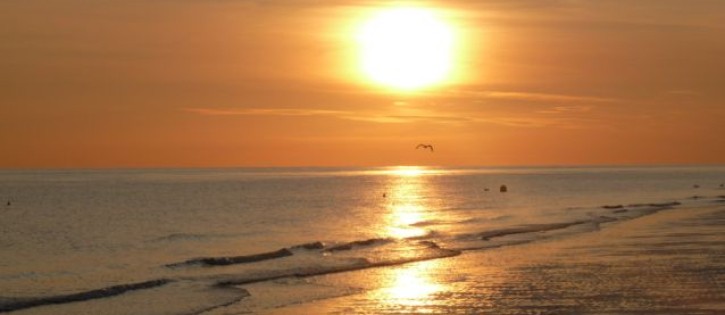 Zonsondergang bij Duinoord.jpg