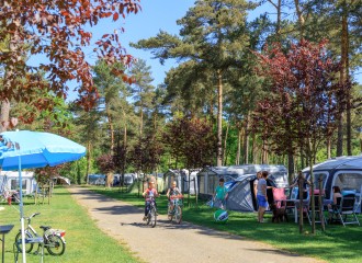 Kamperen in Limburg Camping Heldense Bossen