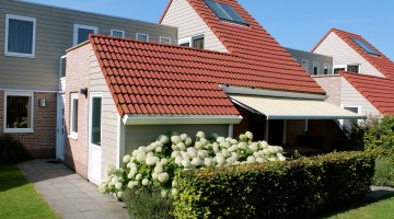 IJsvogel Algemeen 1.JPG