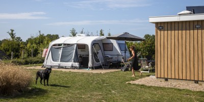 Kamperen prive sanitair hond.jpg