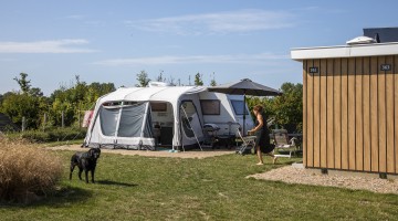 Kamperen prive sanitair hond.jpg