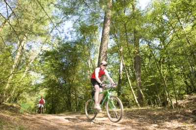 Campingplätze auf der Veluwe