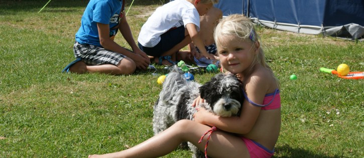 Honden - Scheldeoord - hond met kindje