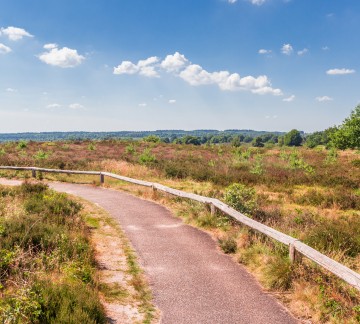 Sallandse Heuvelrug.jpg