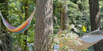 Chill op de Jutberg 1.jpg