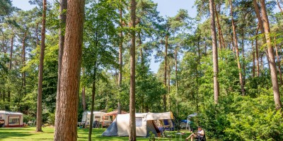 Jutberg Natuurplaats