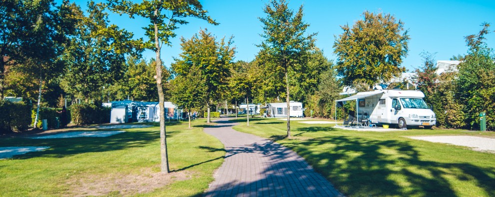 Vakantiepark Ackersate Camping Gelderland Veluwe
