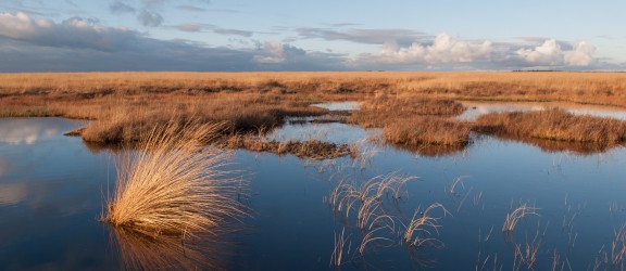 Der Nationalpark De Hoge Veluwe