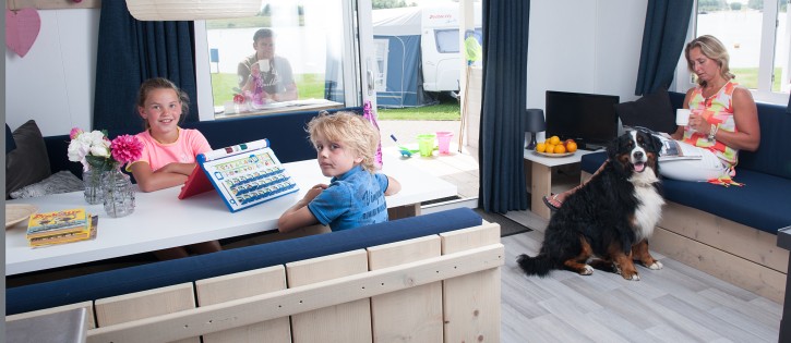 Honden - Paardekreek - lodge met hond binnen