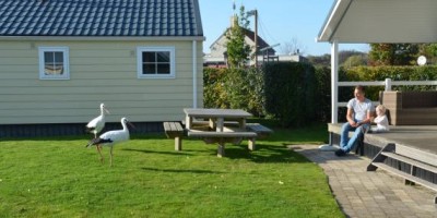 Zwinlodge 4 personen Zwinhoeve