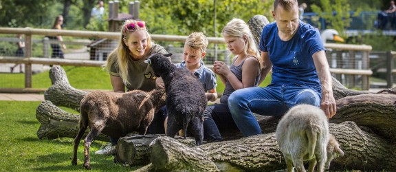 Kinderparadies Malkenschoten