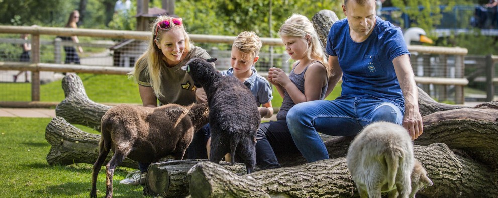 Kinderparadies Malkenschoten