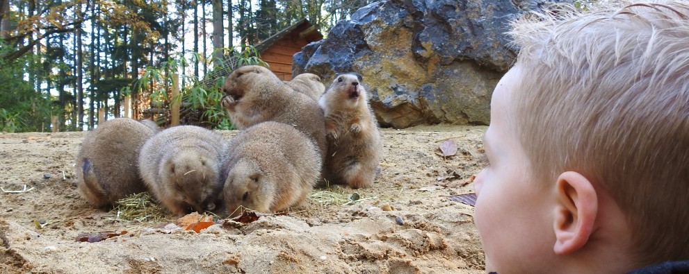 Tierpark Amersfoort