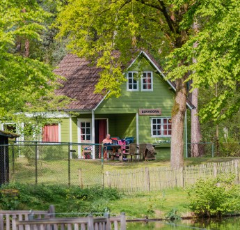 Bosgalow groen huisje