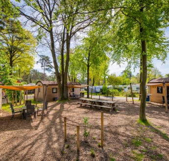 Woodlogdes veld heldense bossen