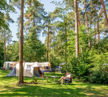 Vakantiedorp de Jutberg natuurcamping in Gelderland