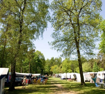 Kampeerplaats - Heldense Bossen - Basisplaats