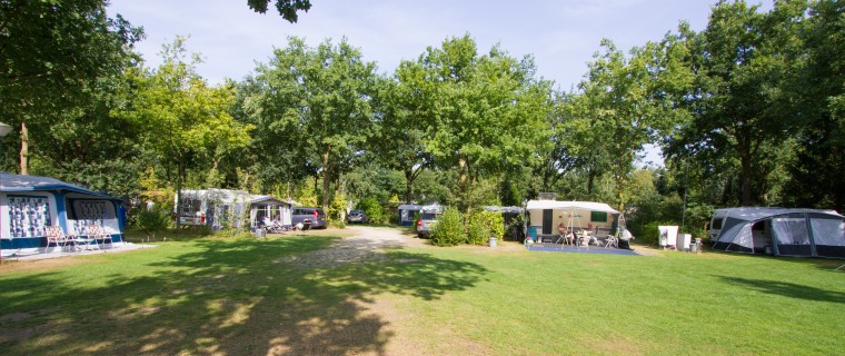 zon en schaduw veldje.jpg