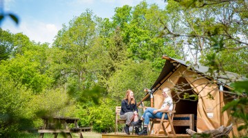 Torentjeshoek 2020 tenthuisjes grote veld-25.jpg