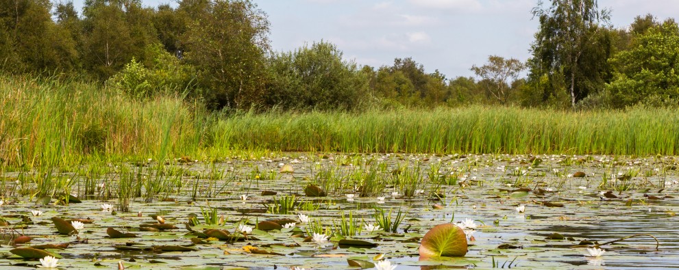 Nationalpark Weerribben-Wieden