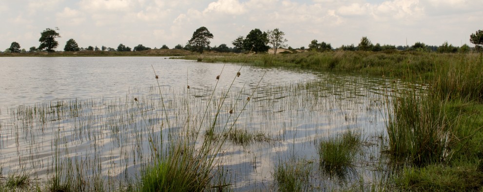 Nationalpark Drents-Friese-Wold