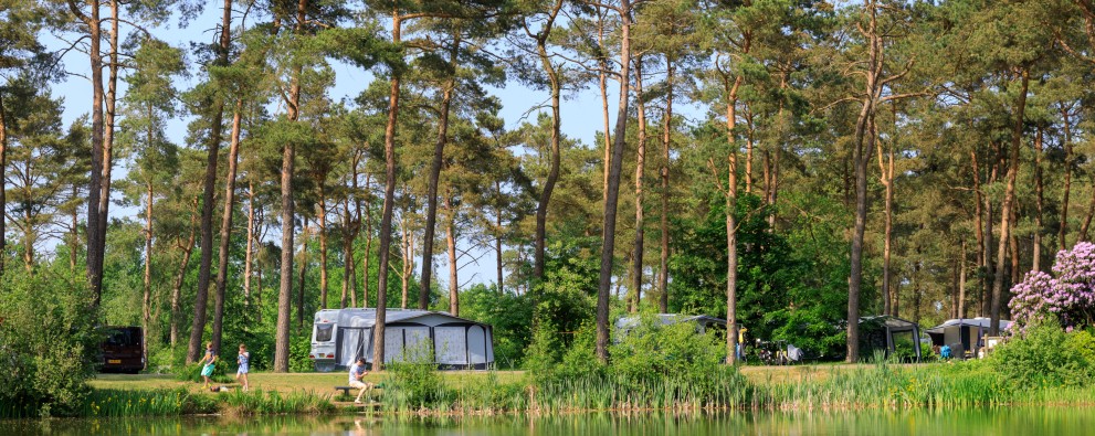 meer bos kamperen.jpg meer bos kamperen.jpg