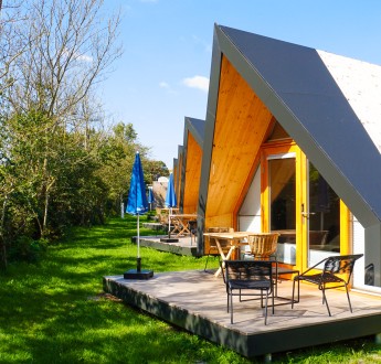 Vogelnestjes overzicht.jpg