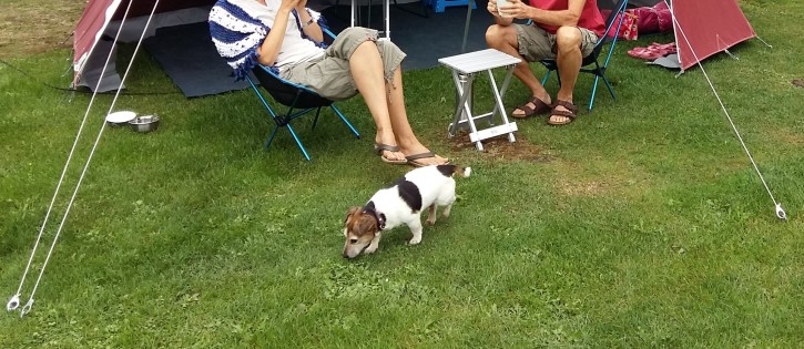 Honden - Zandhegge - Kampeerplaats met hond.jpg