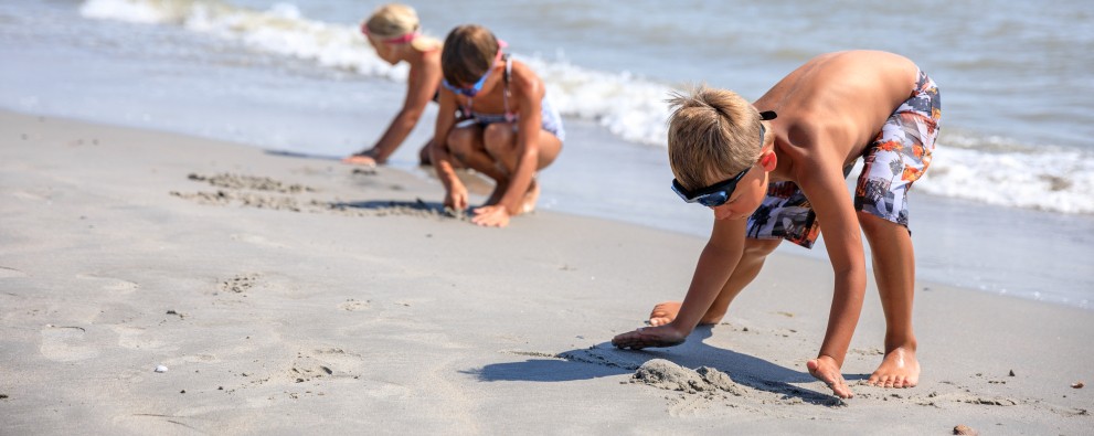 Strand