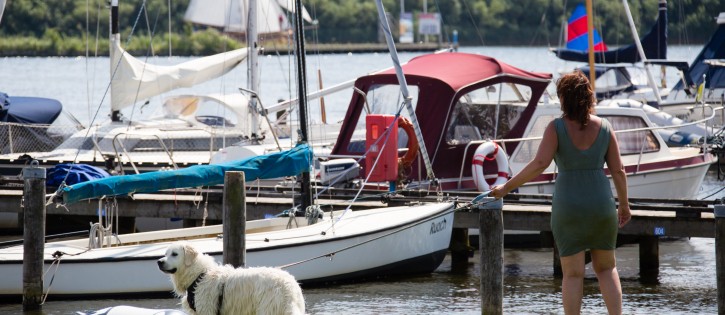 Kuilart honden toegestaan