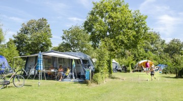 Ruime kampeerplaats Camping Ginsterveld