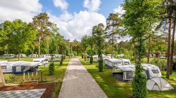 Kamperen camping heldense bossen