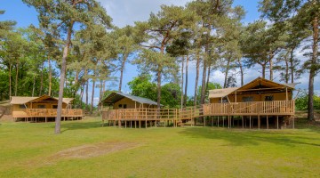 Safaritenten heldense bossen
