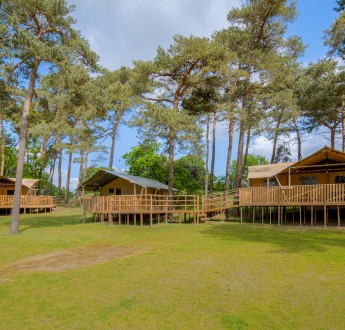 Safaritenten heldense bossen