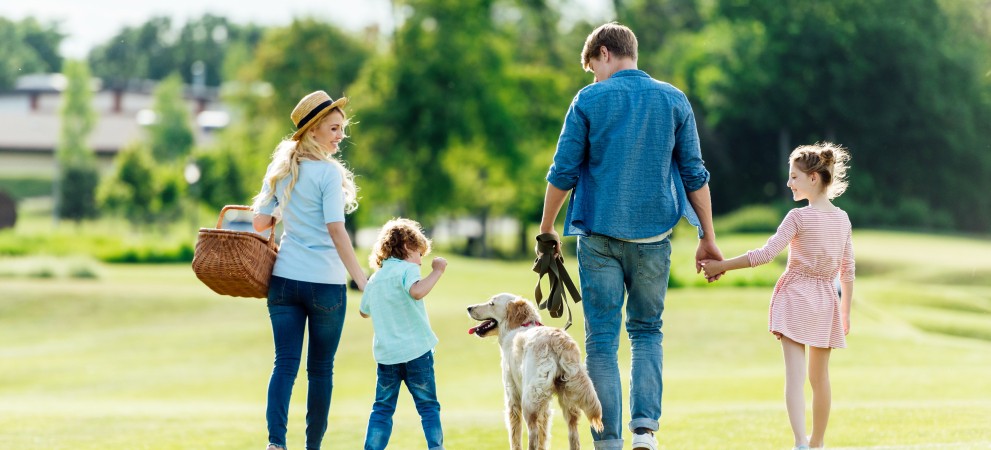 Familie Hond Picknick Familie Hond Picknick