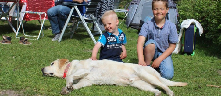 Honden - Zandhegge - Hond ook vakantie