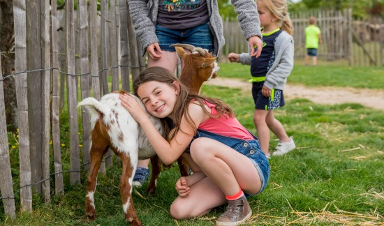 International - Campings met kinderboerderij