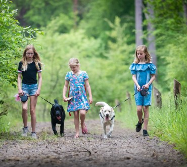 Camping Torentjeshoek kamperen in Drenthe Ardoer  honden